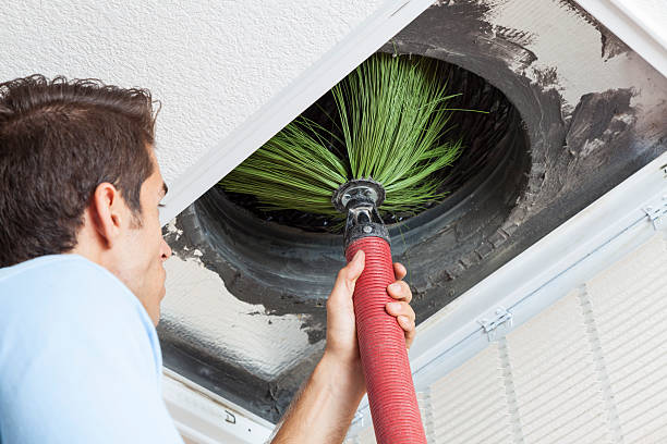 Best Air Vent Cleaning Services  in Princeville, HI